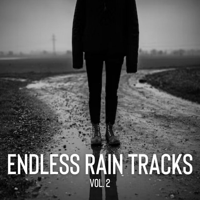 Endless Rain Tracks Vol. 2
