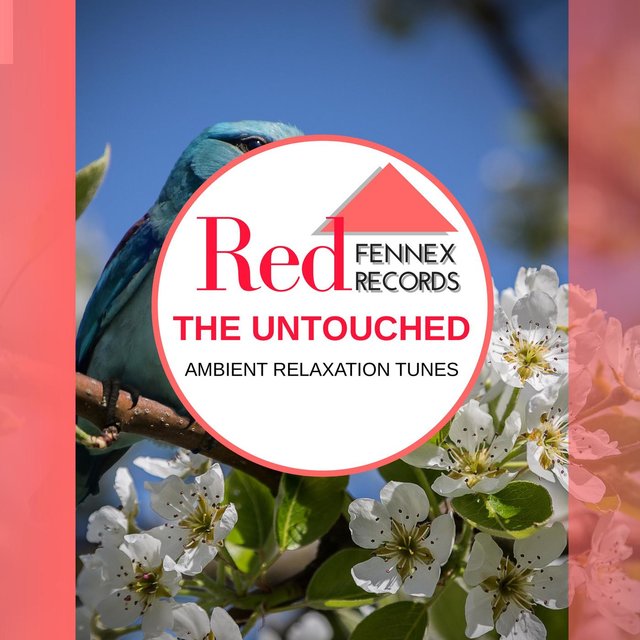 The Untouched - Ambient Relaxation Tunes