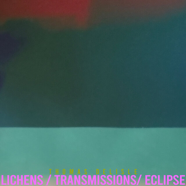 Lichens / Transmissions/ Eclipse (Steel and Leaf Mix)