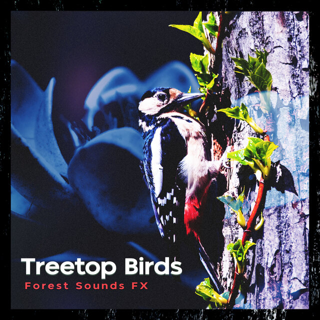 Treetop Birds