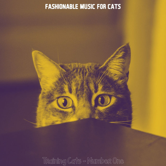 Training Cats - Number One