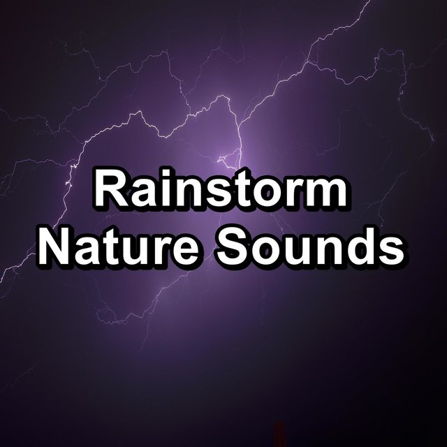 Rainstorm Nature Sounds