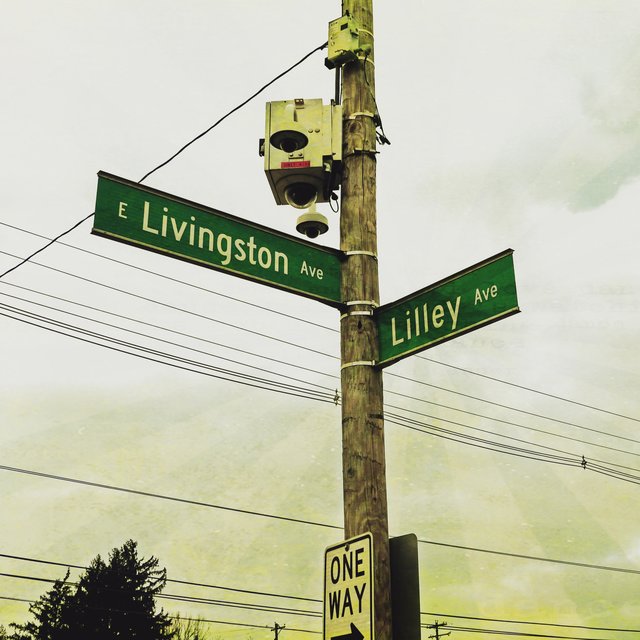 LIVE on Lilley