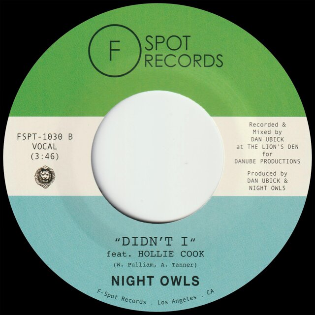 Didn't I (feat. Hollie Cook)