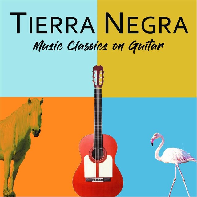 Music Classics on Guitar
