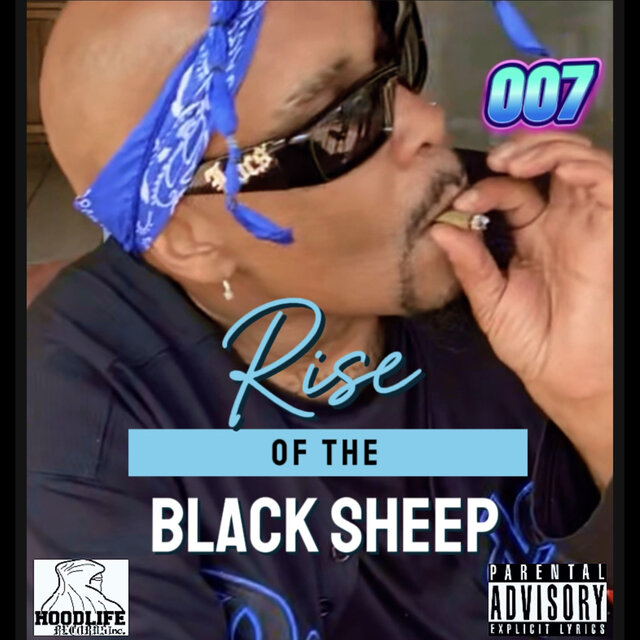 Rise of the Black Sheep