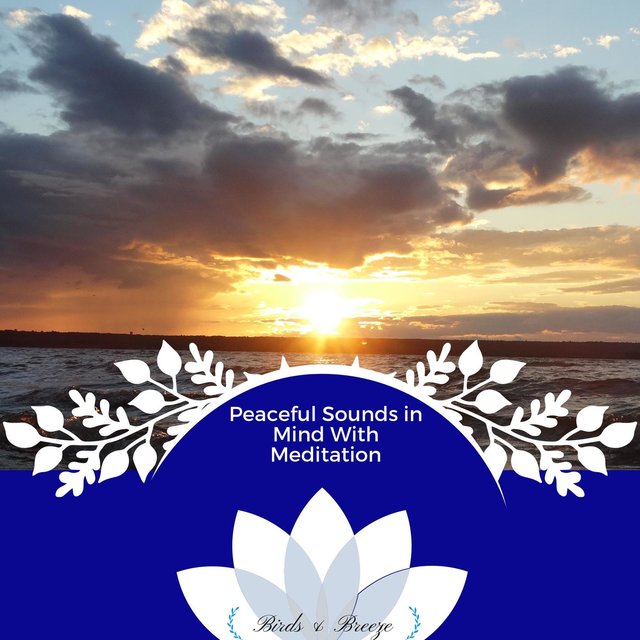Peaceful Sounds In Mind With Meditation