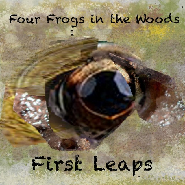 First Leaps
Four Frogs in the Woods