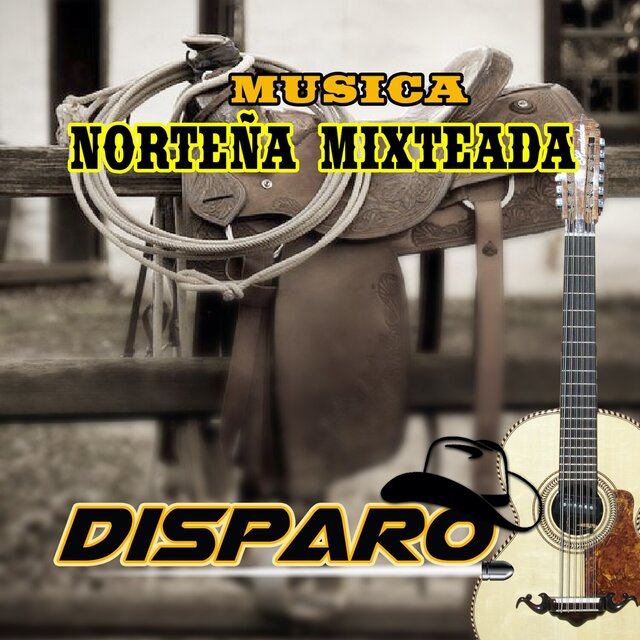 Musica Norteña Mixteada (Grupero)