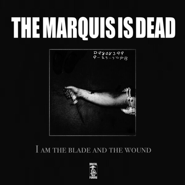 I am the Blade and the Wound