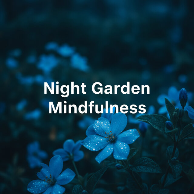 Night Garden Mindfulness
