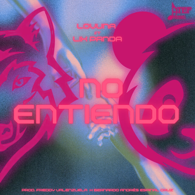 No Entiendo