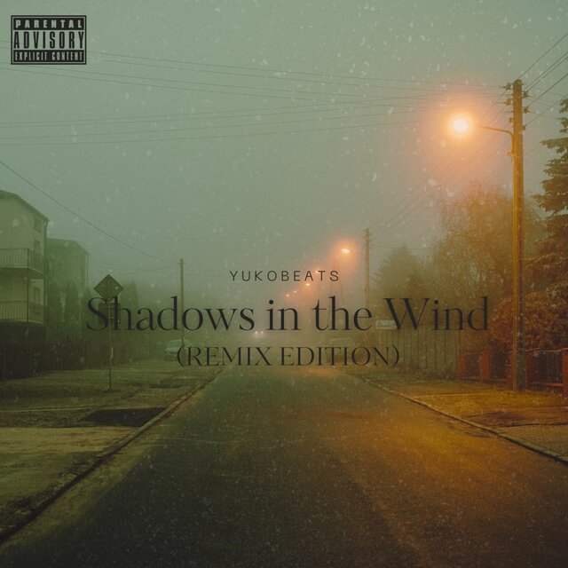 Shadows in the Wind (VKprod Remix)