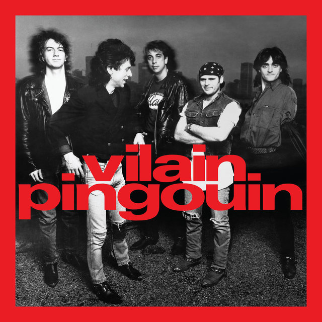 Vilain Pingouin