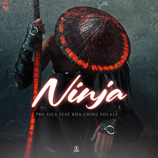 Ninja (Extended Version)