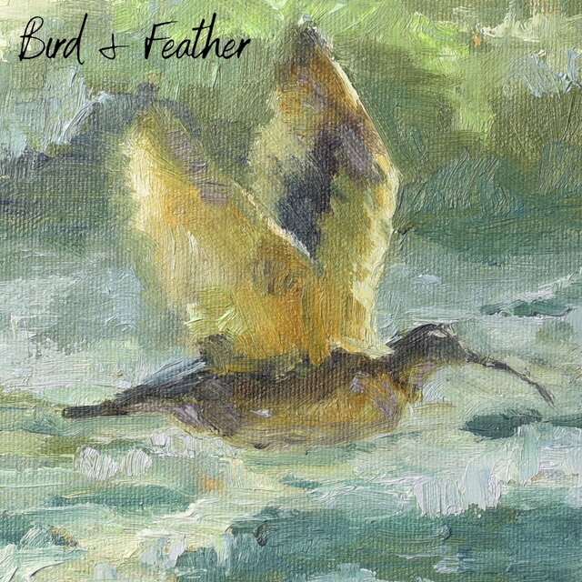 Bird and Feather (Instrumental)