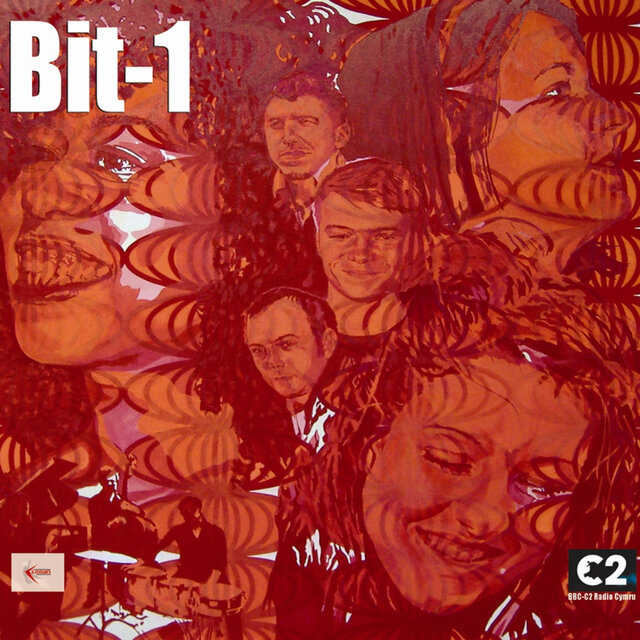 Bit-1