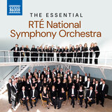 An Irish Symphony: The Fair-Day