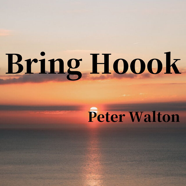 Bring Hoook