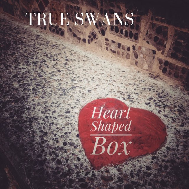 Heart Shaped Box