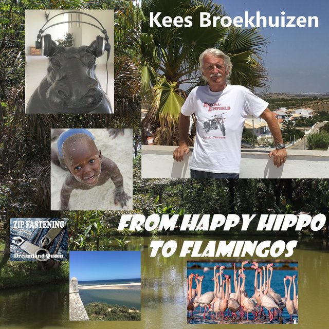 from Happy Hippo to Flamingos