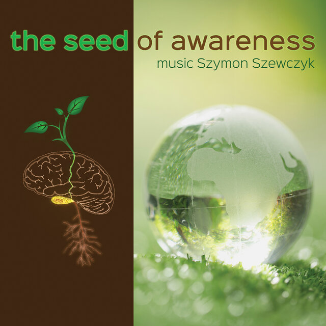 The Seed Of Awareness