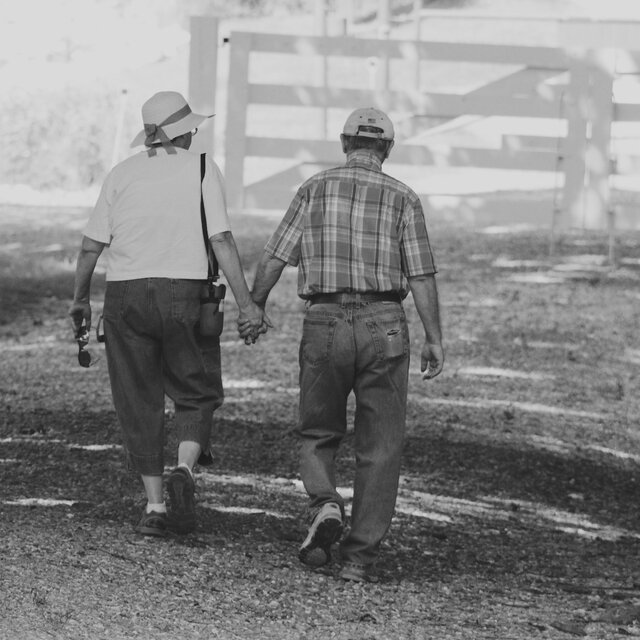 The Road We Shared