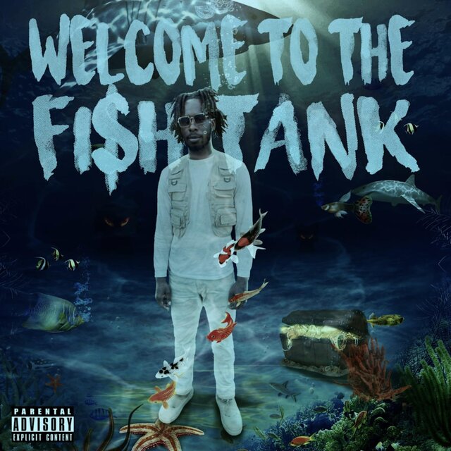 Welcome To The Fish Tank