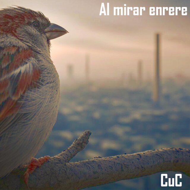 Al Mirar Enrere