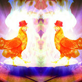 CHICKEN IN THE KITCHEN