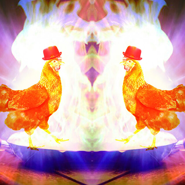 CHICKEN IN THE KITCHEN