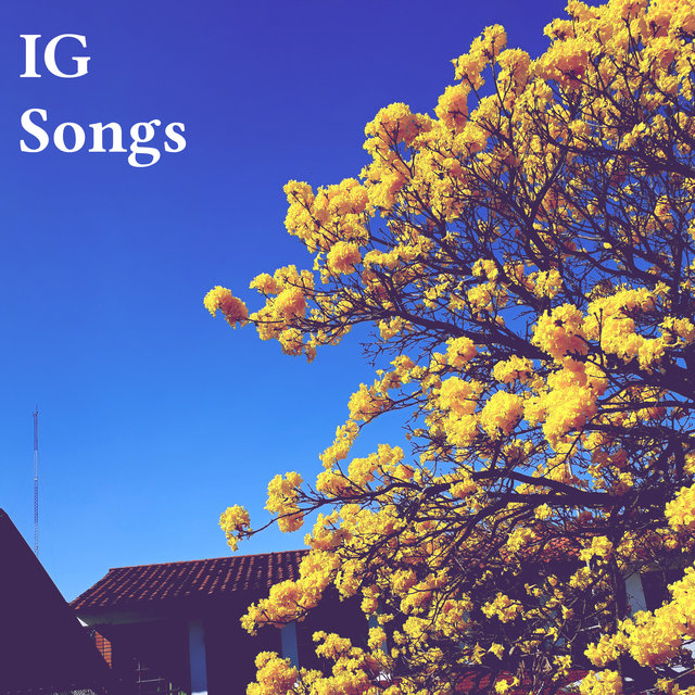 IG Songs