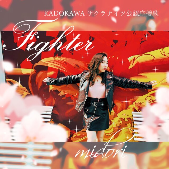 Fighter
