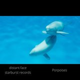 Porpoises