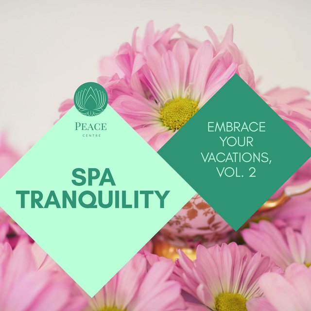 Spa Tranquility - Embrace Your Vacations, Vol. 2