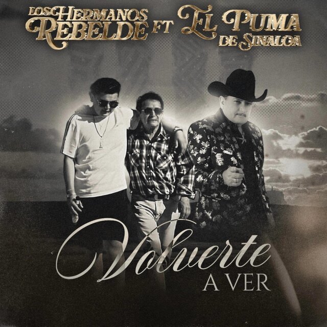 Volverte a ver