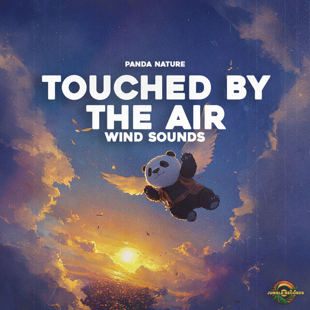 Touched by the Air (Wind Sounds)