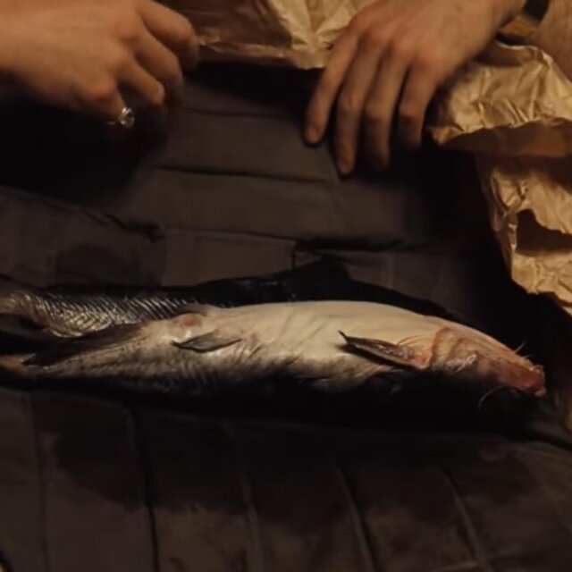 Luca Brasi