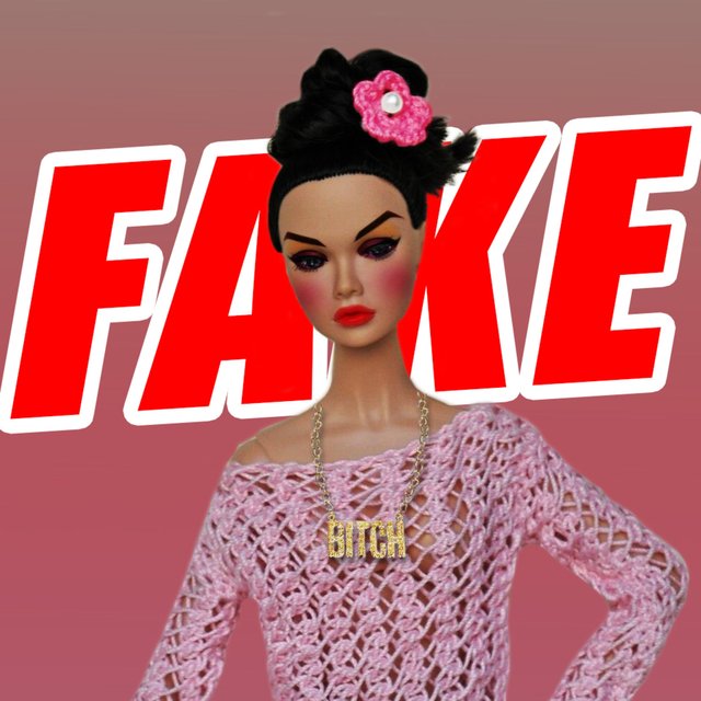 Fake Barbie Bitch