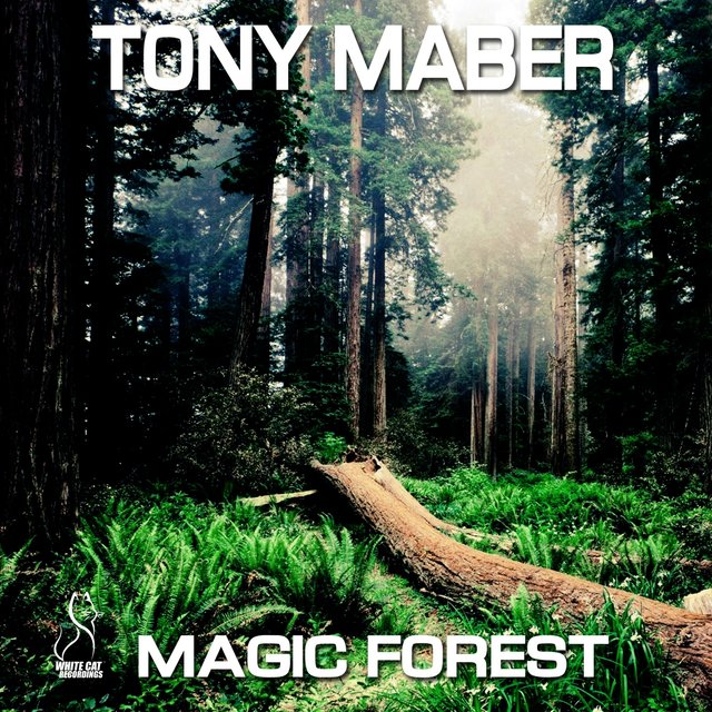 Magic Forest