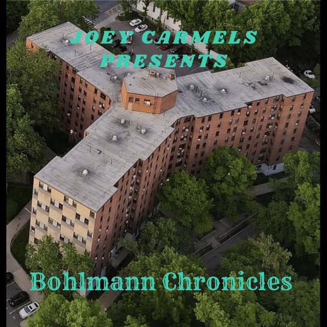 Bohlmann Chronicles