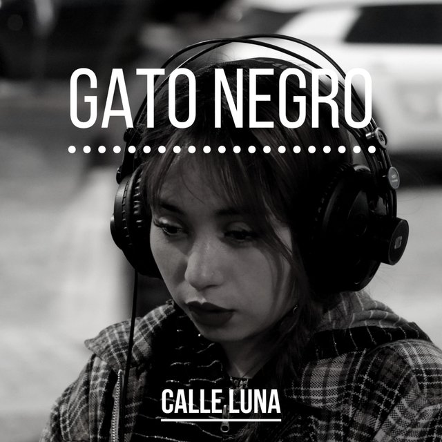 Gato Negro