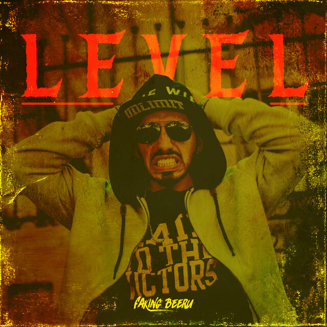 Level