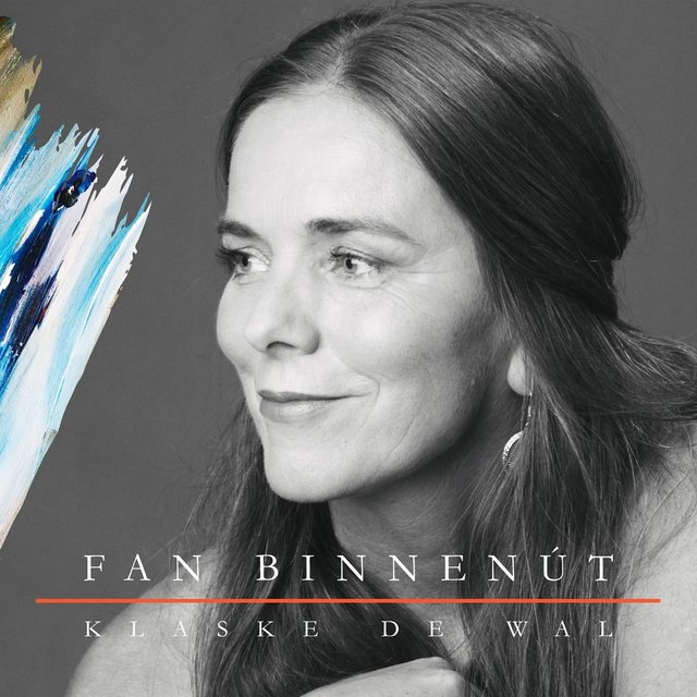 Fan Binnenút