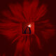 Cover art for album Mere Mortals by Floating Points, San Francisco Ballet Orchestra