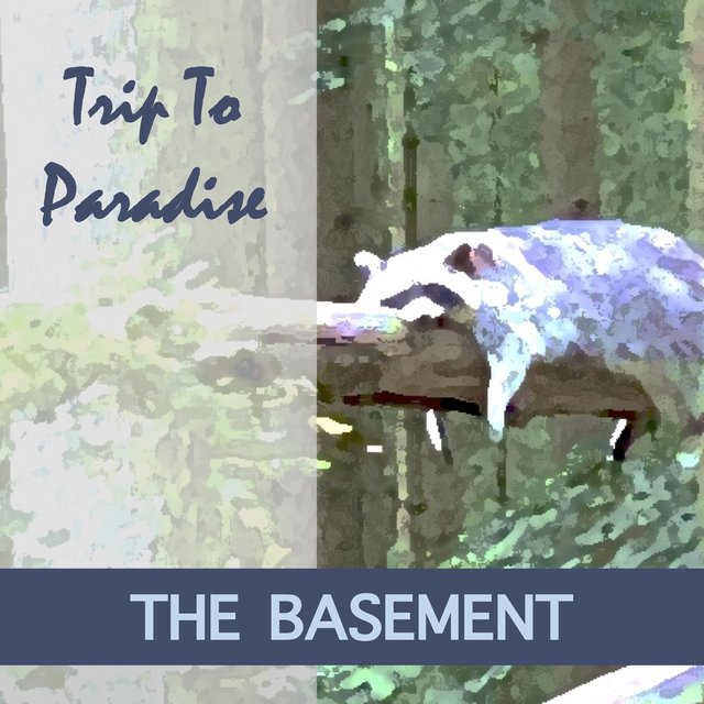 Trip To Paradise