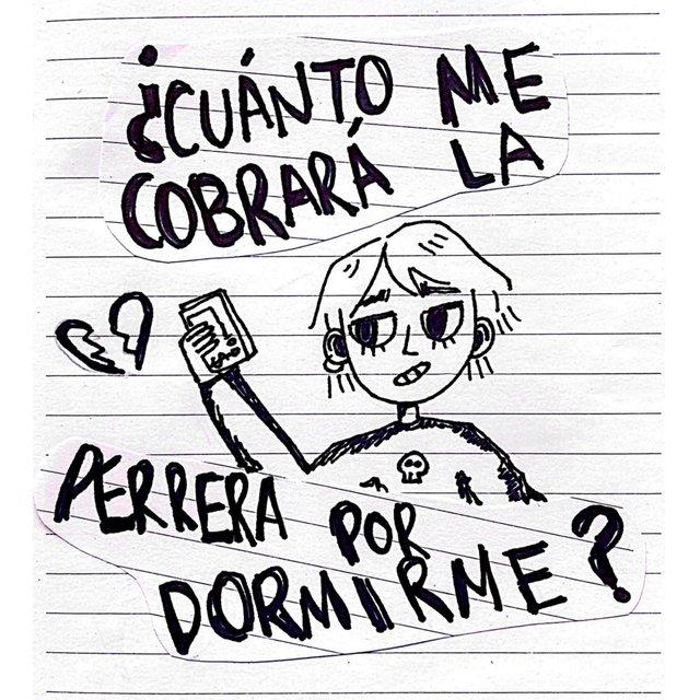 ¿Cuánto me Cobrará la Perrera por Dormirme?