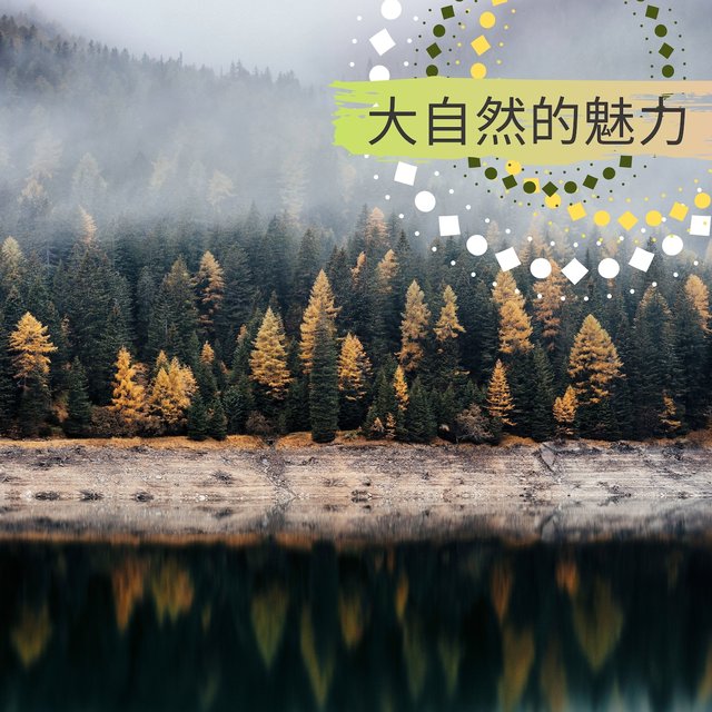 大自然的魅力 - 安靜和平靜的大自然聲音為了看書和思考