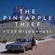 Cover art for album Your Wilderness by The Pineapple Thief