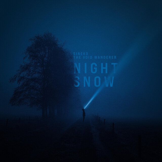 Night Snow